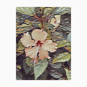 Ian Jones, Flowers in Vietnam, Print