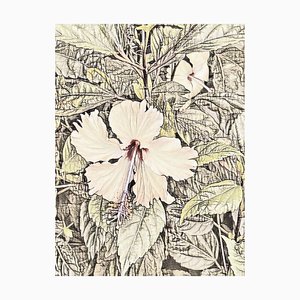 Ian Jones, Flowers in Vietnam 2, Print