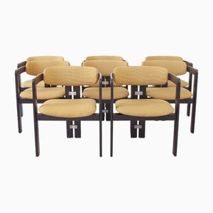 Pamplona Stühle von Augusto Savini für Pozzi, Italien, 1960er, 8er Set