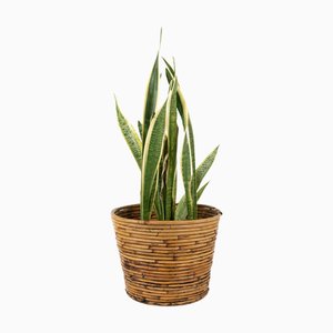 Midcentury Korb aus Bambus & Rattan von Vivai Del Sud, 1970er