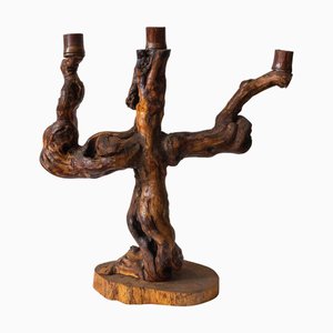 Candelabro francés Mid-Century de raíz de vid, años 60