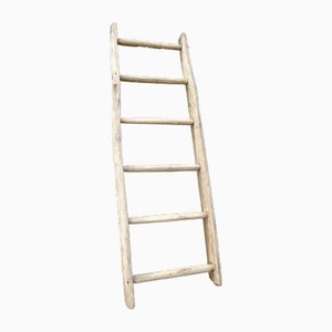 Late 19th Century Oak Ladder