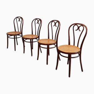 Sillas No 16 rumanas de madera curvada de Michael Thonet, años 70. Juego de 4