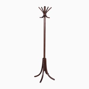 Art Deco Coat Rack in Beech attributed to Thonet, Polish, Czech, 1930s