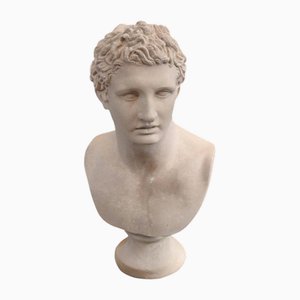 Grand Tour Classical Bust Greek Hero of Meleager