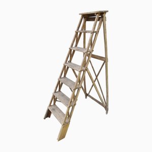 Vintage Blond Stepladder, 1920s