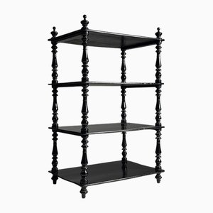 Spacious Black Lacquered Shelf