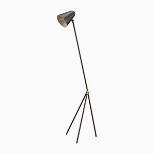 Lámpara de pie Grasshopper sueca vintage, años 50