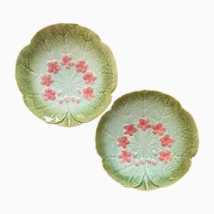French Water Lily Flowermajolica Plates by Sarreguemines, 1890s, Set of 2