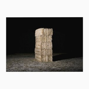 Filipe Condado, Ohne Titel, Fotografie