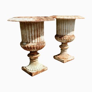 Large Cast Iron Garden Planters, 1900s, Set of 2