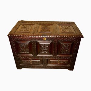 Large Carved Oak Mule Chest in Green