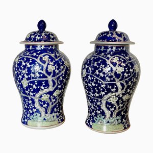 Große orientalische Ingwergläser aus Porzellan, 1950, 2er Set