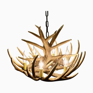 Large Simulated Black Forrest Stag Antler Hanging Chandelier, 1960a