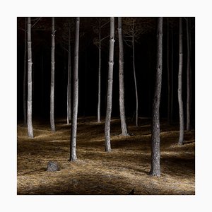 Filipe Condado, Untitled, Photography