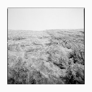 Filipe Condado, Untitled, Photography