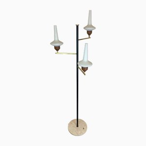 Lámpara de pie Mid-Century atribuida a Stilnovo, años 50