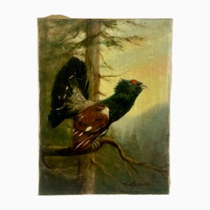 K. Kirchior, Gallo cedrone, Olio su tela, inizio XX secolo