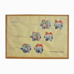 Driving School Wall Chart of Synchronizing Operation from Opel, 1950s