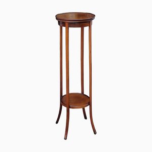 Edwardian Mahogany Torchere Plant or Bust Stand