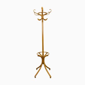 Curved Perroquet Coat Rack