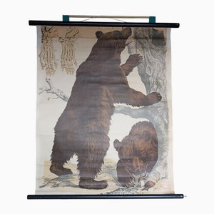 Schulposter mit Bären von JF Schreiber München, 1920er-1940er
