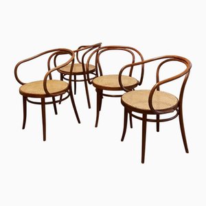 No. 209 Armchairs in Bentwood and Rattan from Ligna, 1970s, Set of 4