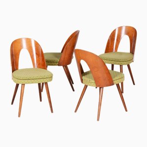 Sillas Mid-Century de nogal atribuidas a Antonín Šuman, checas, años 50. Juego de 4