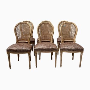 Vintage Medaillon Stühle, 6er Set