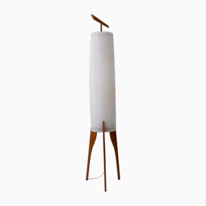 Mid-Century Modern Scandinavian 2-Flamed Floor Lamp, 1960s