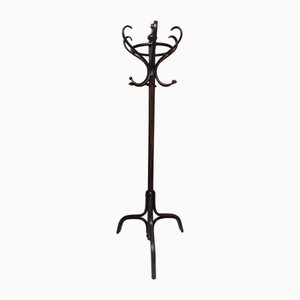 Antique Tree Coat Rack