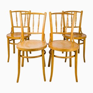 Sillas de comedor Mid-Century de madera curvada. Juego de 4
