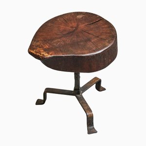 Mid-Century Tree Trunk Stool or Side Table in Wood and Wrought Iron, 1950s
