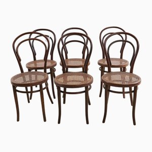 Chairs in Wood and Vienna Straw from Thonet, Set of 6