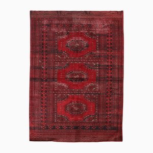 Afghanistan Bukhara Rug in Wool