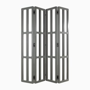 Salamanca Screen by Fabian Pellegrinet Conte