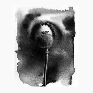 Ugne Pouwell, Poppy on Ink #2, 2023, Photographie