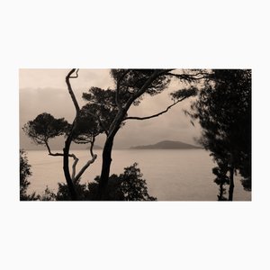 Ugne Pouwell, Currents, 2022, Photographie