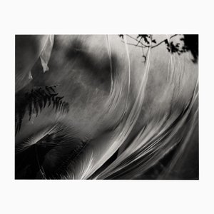 Ugne Pouwell, Wind Stretched Daydream, 2022, Photographie