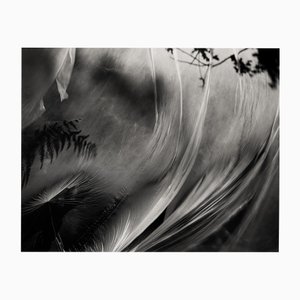 Ugne Pouwell, Wind Stretched Daydream, 2022, Fotografie