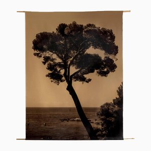 Ugne Pouwell, Prevail, 2022, Photographie