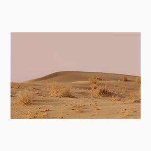 Ugne Pouwell, Desert Pink, 2016, Photographie