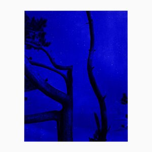 Ugne Pouwell, Ultramarine Night, 2022, Photography