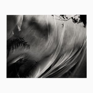 Ugne Pouwell, Wind Stretched Daydream, 2022, Fotografía