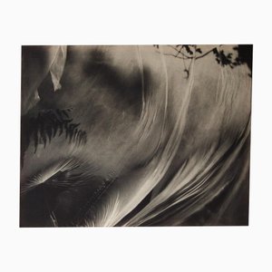 Ugne Pouwell, Wind Stretched Daydream, 2022, Photographie