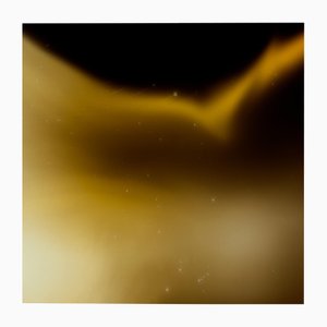Ugne Pouwell, amarillo y negro No.3 Color Field Abstract, 2024, Fotografía