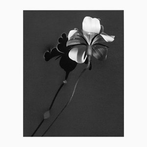 Ugne Pouwell, Ocean Pearl in Water, 2024, Photography