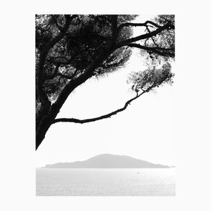 Ugne Pouwell, Porto Venere, 2024, Photography