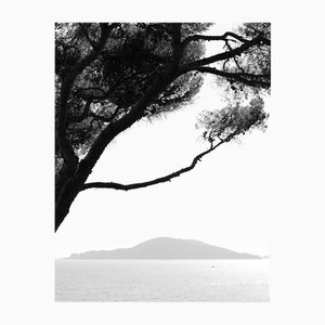 Ugne Pouwell, Porto Venere, 2024, Photographie