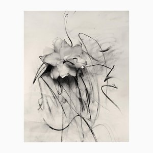 Ugne Pouwell, Lily in Charcoal, 2023, Photographie